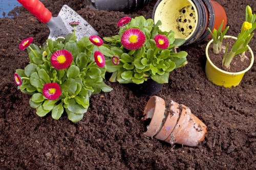 Hard landscaping project planning in Temple for a residential outdoor space