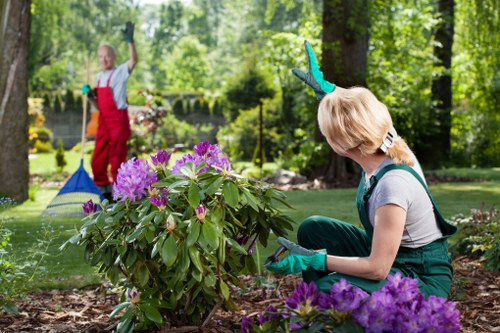 Landscaping team carrying out garden improvement work