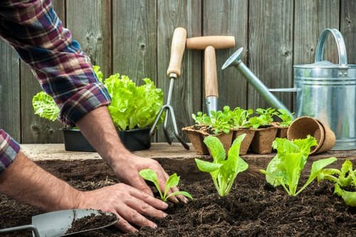 Free landscaping quote discussion for a Temple property
