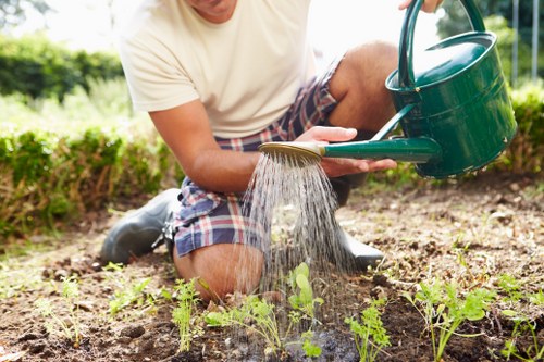 Garden makeover project in Temple with a refreshed outdoor layout