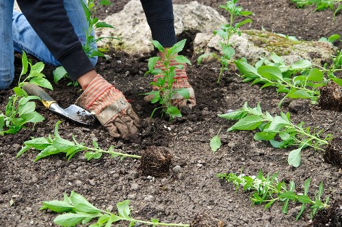 Professional synthetic turf fitting for a Temple property