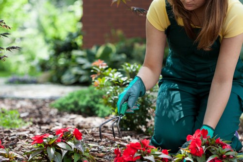 Temple landscaping service creating a balanced yard