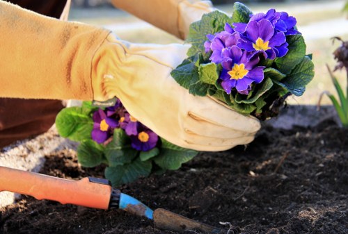 Residential and commercial landscaping design in Temple