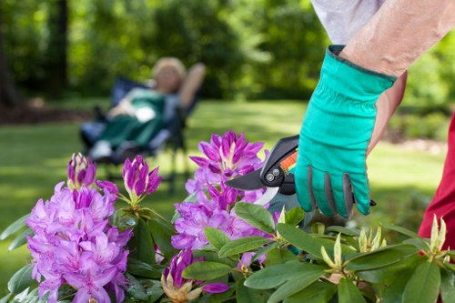 Professional landscaping features in a Temple outdoor space