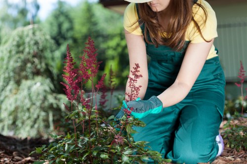 Prepared landscaping materials and site assessment notes