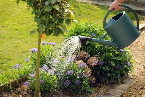 Modern slavery statement prepared for landscaping business oversight