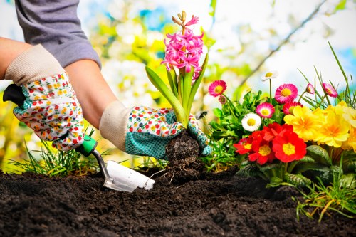 Planting and finishing details in a Temple garden design project