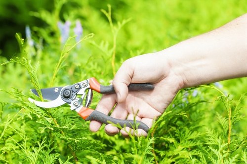 Recycling and sustainability efforts for landscaping waste management