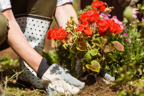 Paving and garden surfacing options for Temple properties